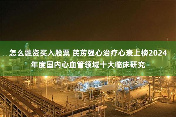 怎么融资买入股票 芪苈强心治疗心衰上榜2024年度国内心血管领域十大临床研究