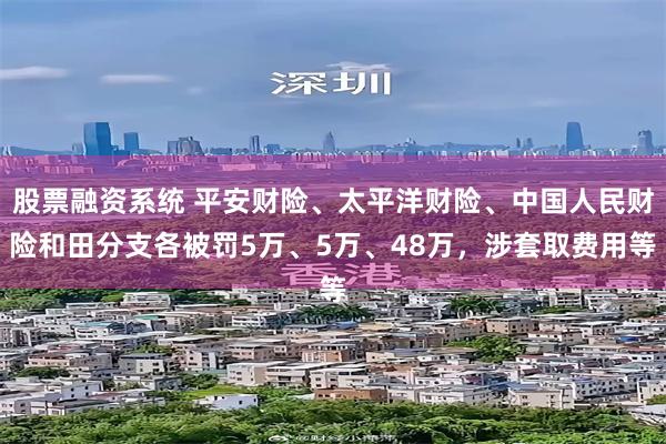 股票融资系统 平安财险、太平洋财险、中国人民财险和田分支各被罚5万、5万、48万，涉套取费用等