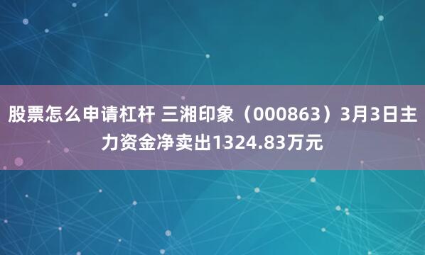 股票怎么申请杠杆 三湘印象（000863）3月3日主力资金净卖出1324.83万元