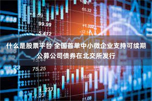 什么是股票平台 全国首单中小微企业支持可续期公募公司债券在北交所发行