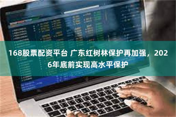 168股票配资平台 广东红树林保护再加强，2026年底前实现高水平保护