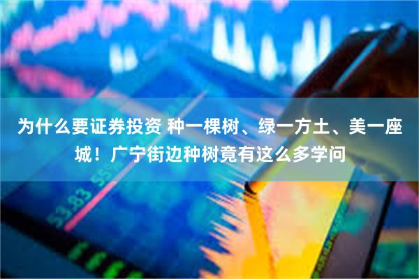 为什么要证券投资 种一棵树、绿一方土、美一座城！广宁街边种树竟有这么多学问