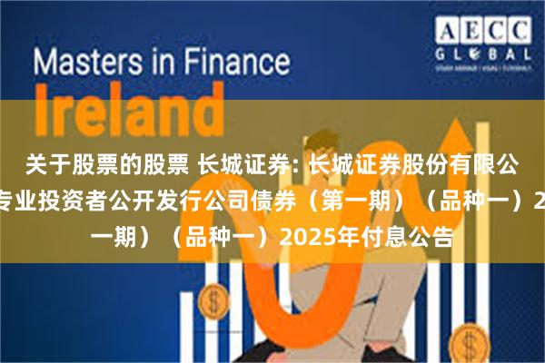 关于股票的股票 长城证券: 长城证券股份有限公司2024年面向专业投资者公开发行公司债券（第一期）（品种一）2025年付息公告