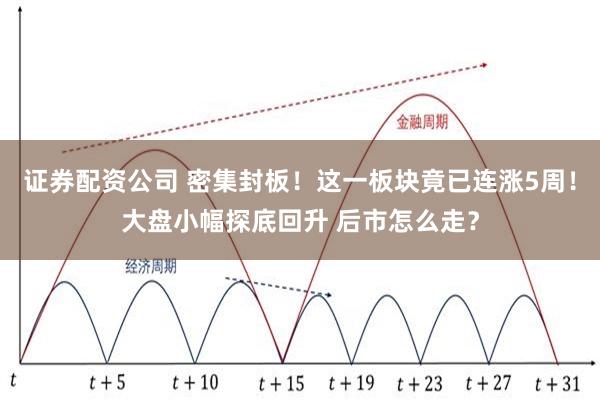 证券配资公司 密集封板！这一板块竟已连涨5周！大盘小幅探底回升 后市怎么走？