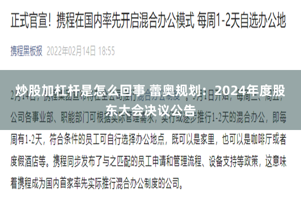 炒股加杠杆是怎么回事 蕾奥规划：2024年度股东大会决议公告