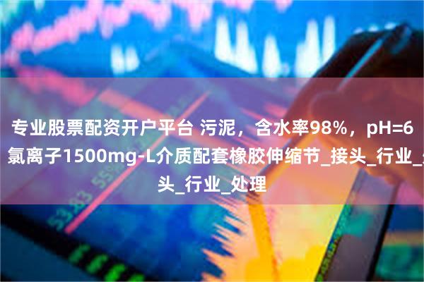 专业股票配资开户平台 污泥，含水率98%，pH=6~9，氯离子1500mg-L介质配套橡胶伸缩节_接头_行业_处理