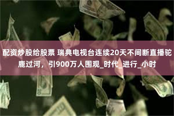 配资炒股给股票 瑞典电视台连续20天不间断直播驼鹿过河，引900万人围观_时代_进行_小时
