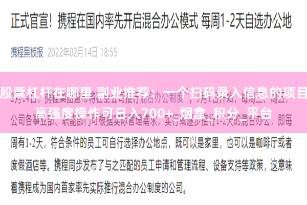 股票杠杆在哪里 副业推荐：一个扫码录入信息的项目高强度操作可日入700+_烟盒_积分_平台