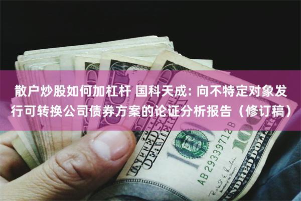 散户炒股如何加杠杆 国科天成: 向不特定对象发行可转换公司债券方案的论证分析报告（修订稿）