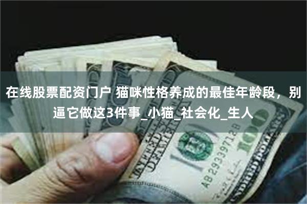 在线股票配资门户 猫咪性格养成的最佳年龄段，别逼它做这3件事_小猫_社会化_生人
