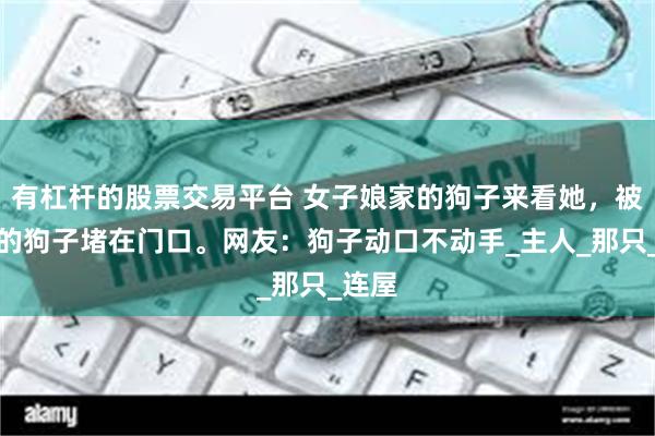 有杠杆的股票交易平台 女子娘家的狗子来看她，被婆家的狗子堵在门口。网友：狗子动口不动手_主人_那只_连屋