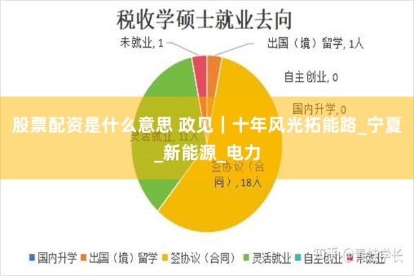 股票配资是什么意思 政见｜十年风光拓能路_宁夏_新能源_电力