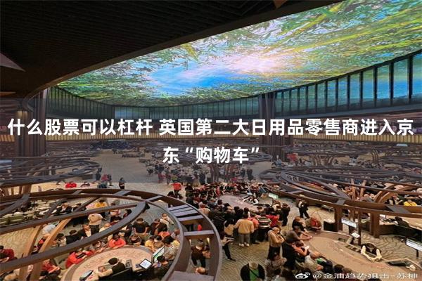 什么股票可以杠杆 英国第二大日用品零售商进入京东“购物车”